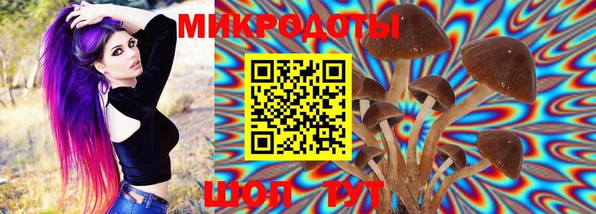 Верхний Уфалей  Псилоцибиновые грибы MAGIC MUSHROOMS  Вход с VPN 