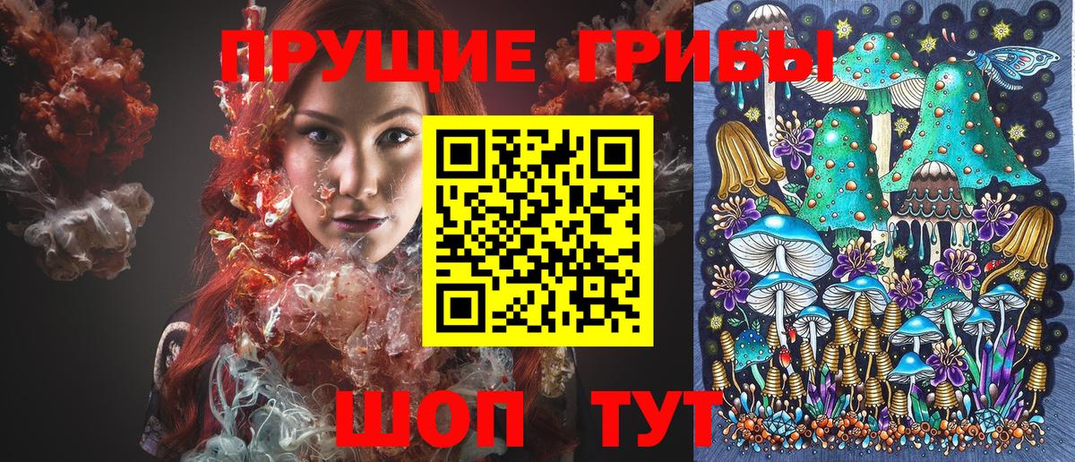 Псилоцибиновые грибы Psilocybine cubensis Верхний Уфалей